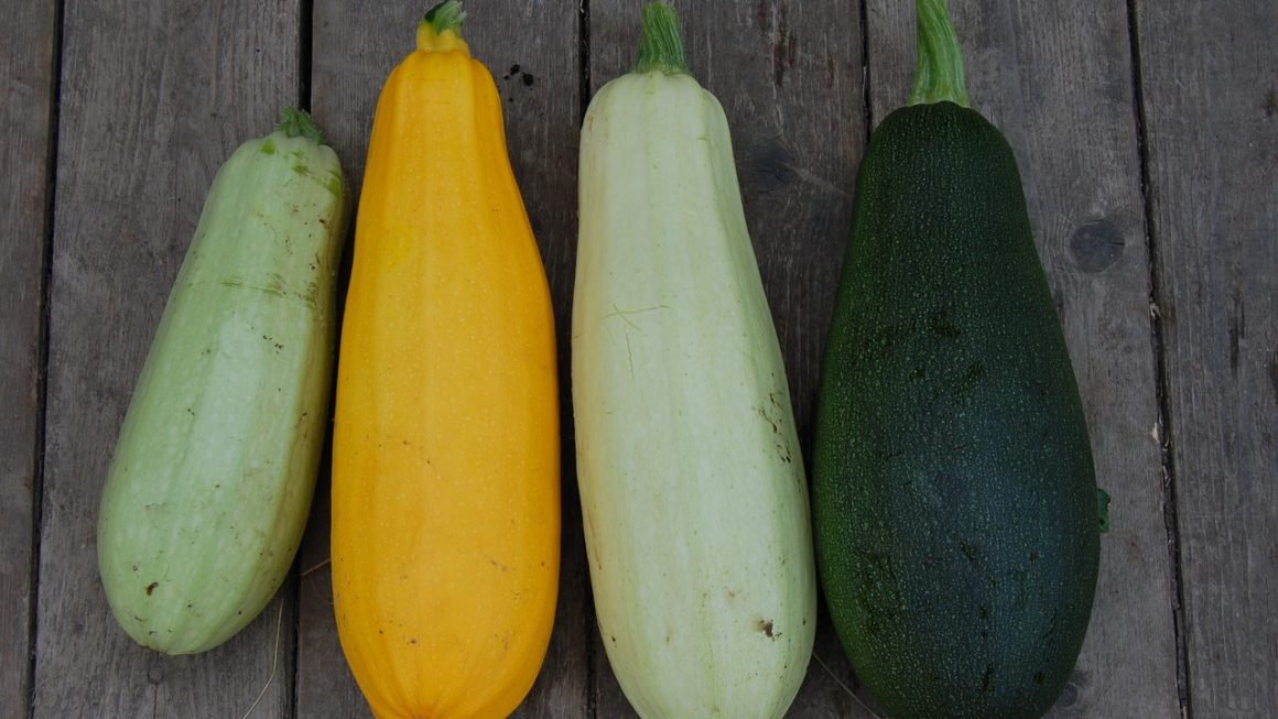 Patti’s Healthy Eating Tip: Zucchini