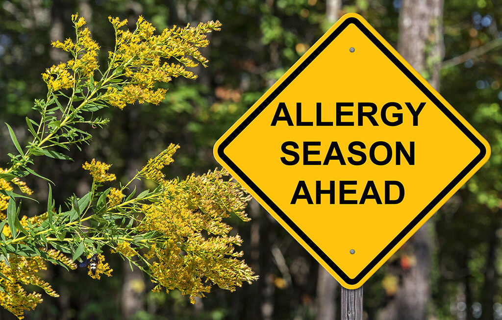 How to Combat Seasonal Allergies
