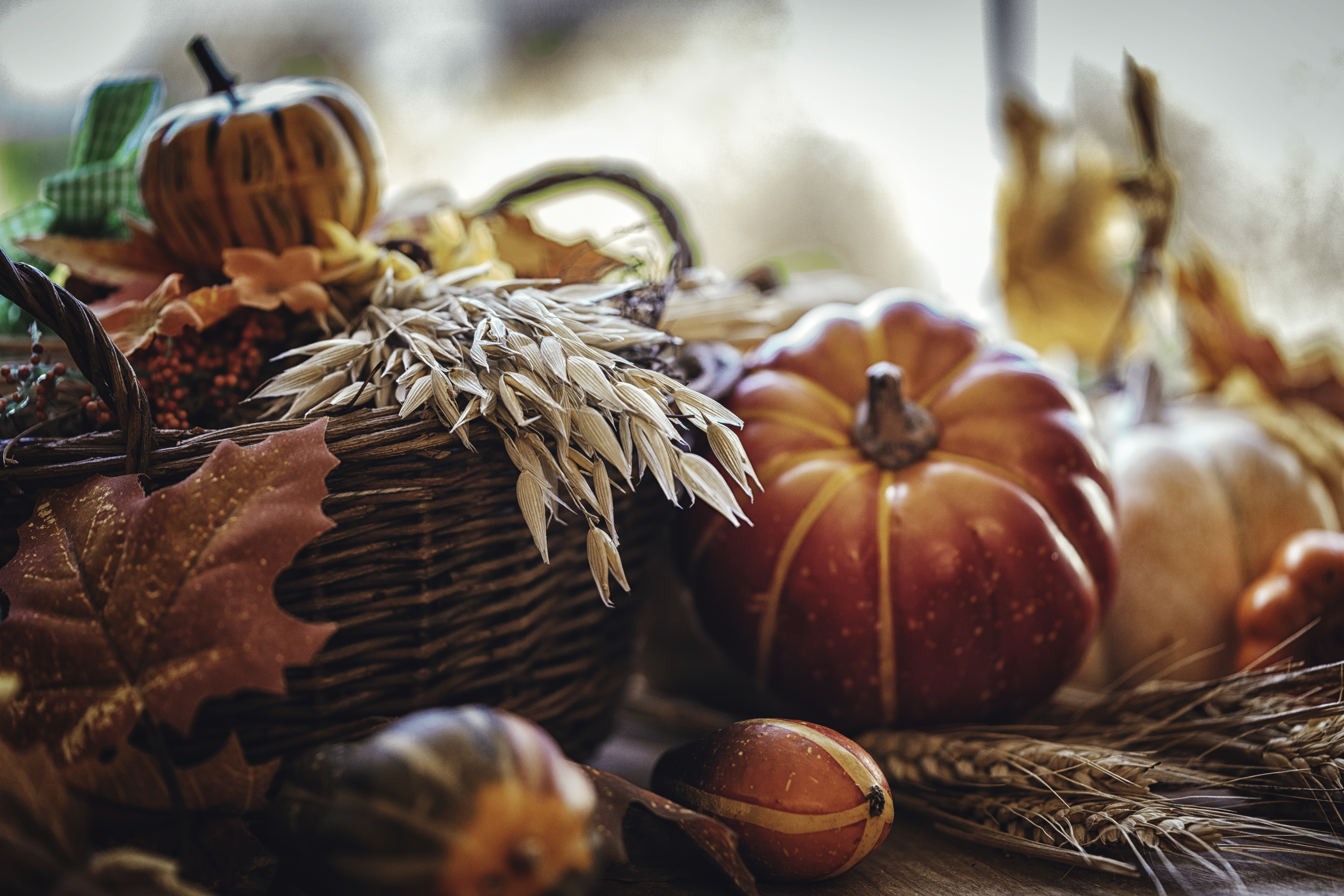 Tips Toward a Triumphant Turkey Day